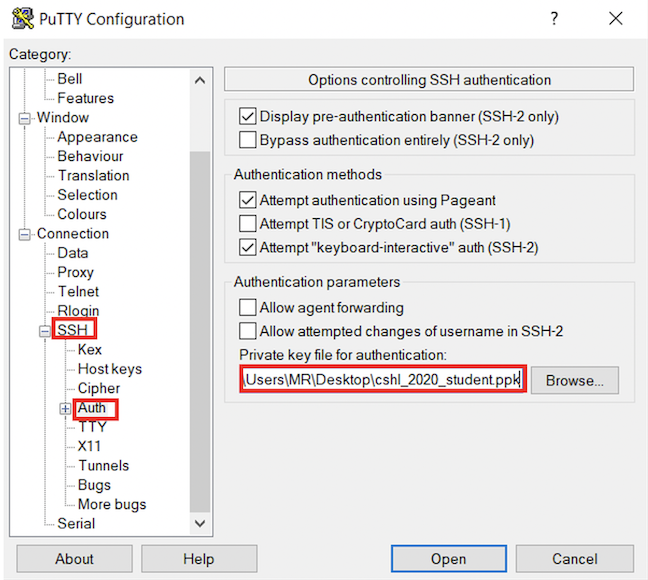 Logging in with putty (Windows)