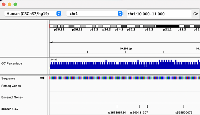 Navigition using Location text field. Sequence displayed as thin coloured rectangles.