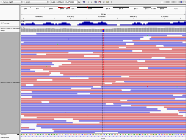 Example1. Good quality SNVs/SNPs