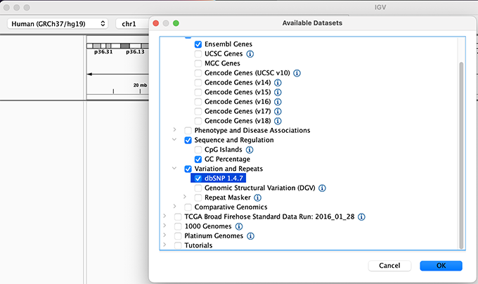 Load hg19 genome and additional data tracks