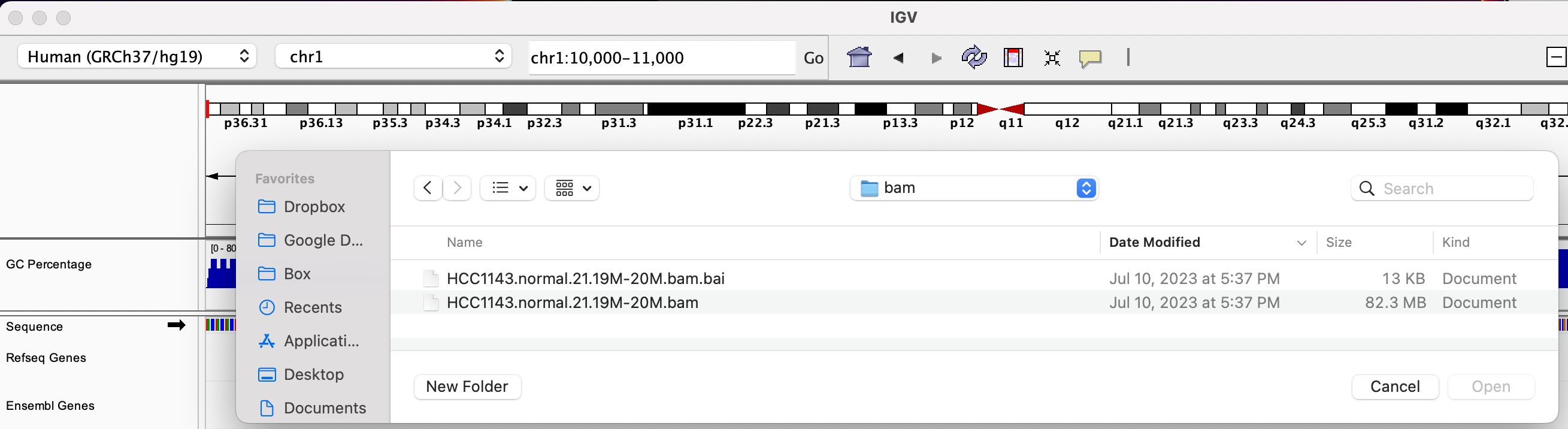 Load BAM track from File