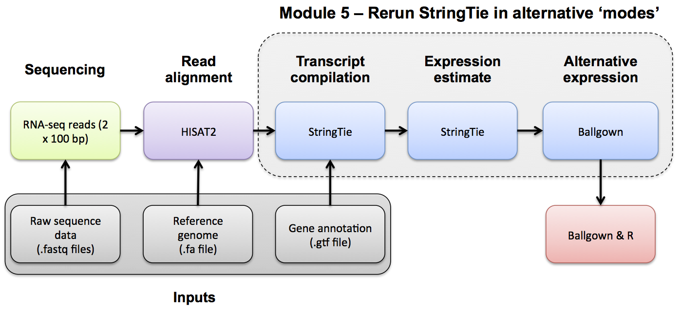 RNA-seq_Flowchart5